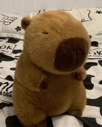 ΛΟΥΤΡΙΝΟΣ CAPYBARA 25CM